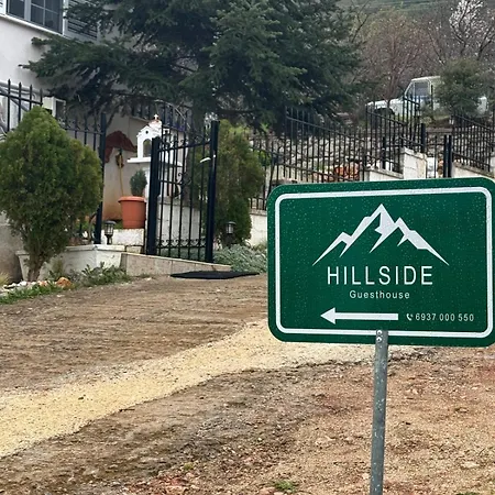 Hillside